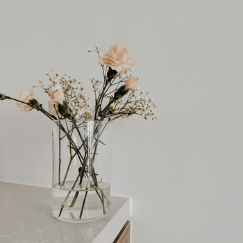 Surround Yourself with Beauty